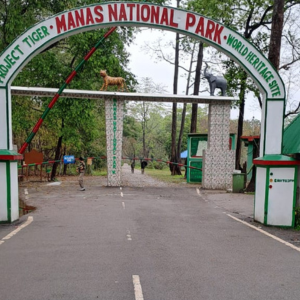 How To Reach Manas National Park