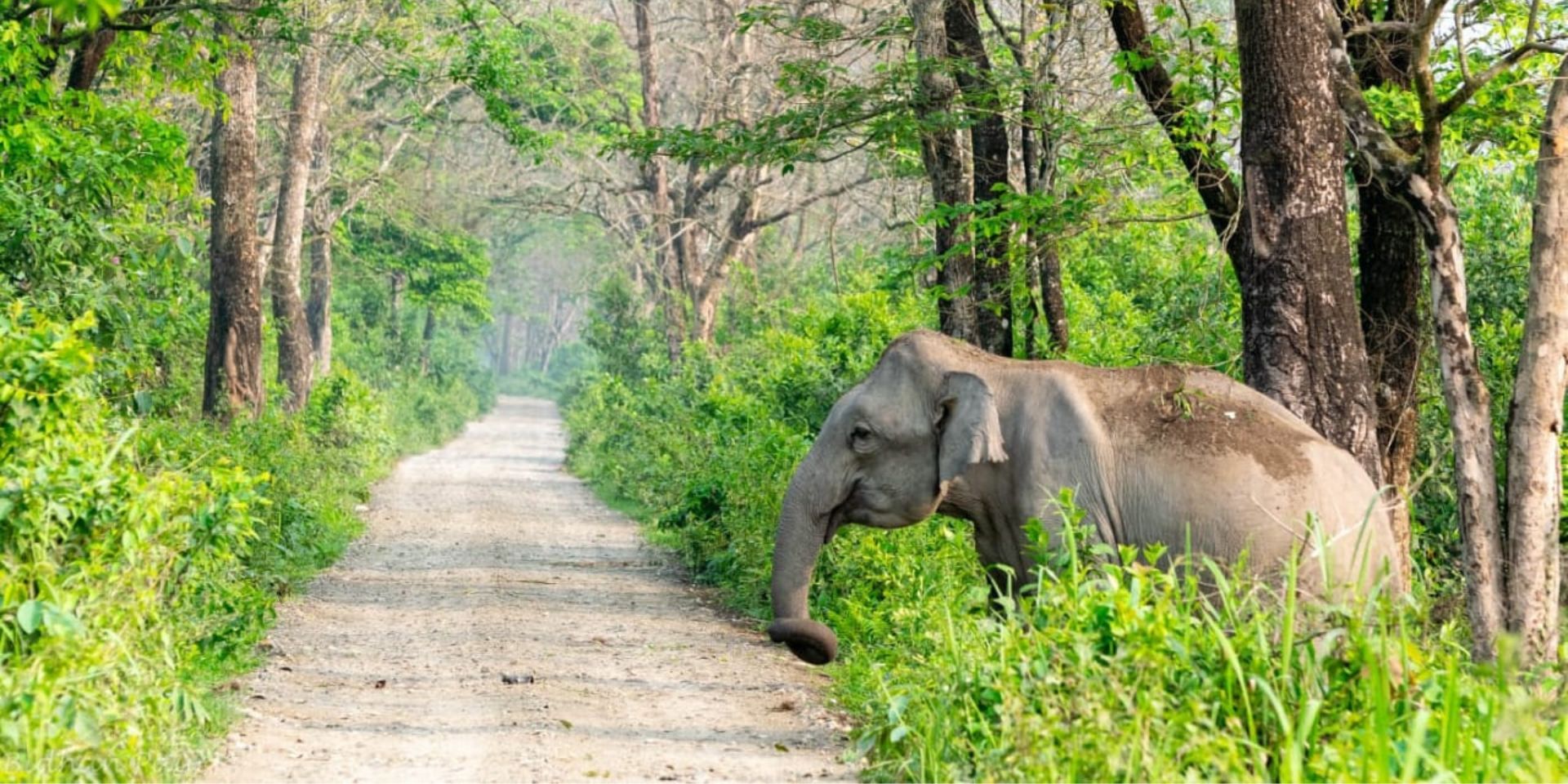 Adventure Activities in Manas National Park
